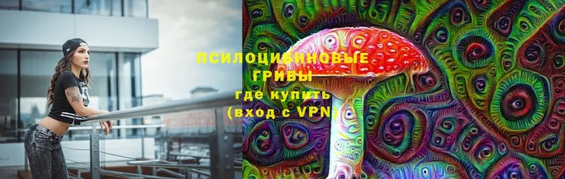 кракен зеркало  Котельники  Псилоцибиновые грибы Cubensis  как найти наркотики 